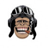Drunk_n_monkey