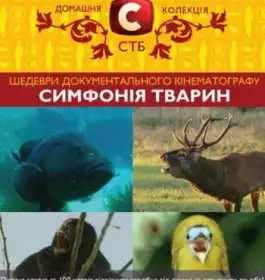 Симфонія тварин постер