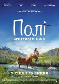 Полі постер