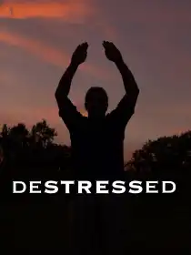 Destressed постер