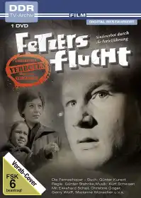Fetzers Flucht постер