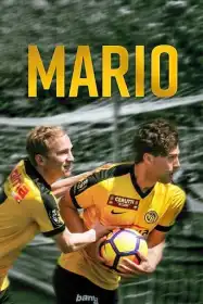 Маріо постер