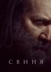 Свиня постер
