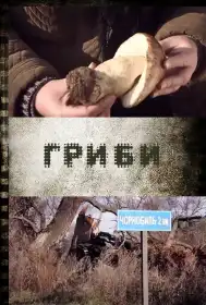 Гриби постер