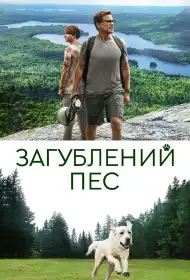 Загублений пес постер