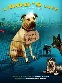 A Dog's Life постер
