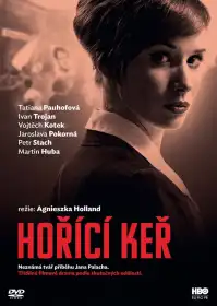 Неопалима купина постер