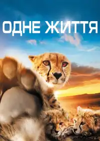 Одне життя постер