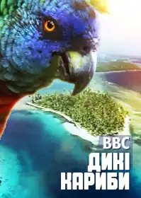 Невідомі Кариби постер