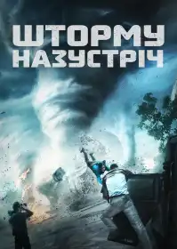 Шторму назустріч постер