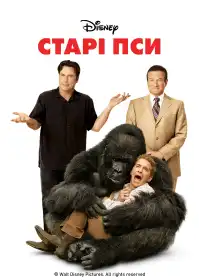 Старі пси постер