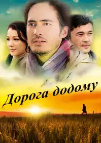 Дорога додому постер