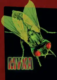 Муха постер