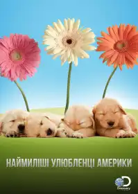 Наймиліші улюбленці Америки постер