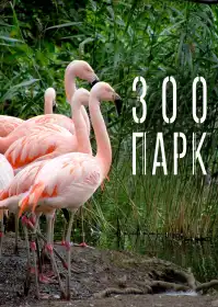 Зоопарк постер