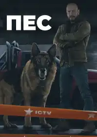 Пес постер
