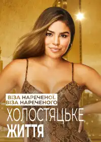 Віза нареченої. Віза нареченого. Холостяцьке життя постер