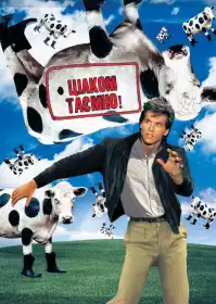 Цілком таємно постер