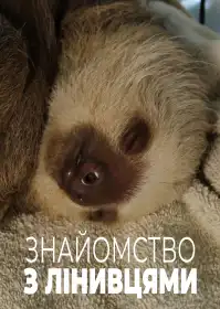 Знайомство з лінивцями постер