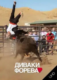 Диваки форева постер