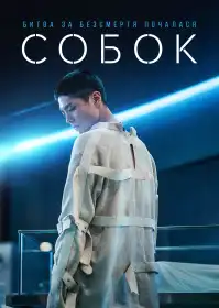 Собок постер