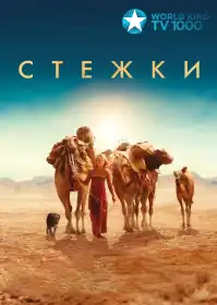 Стежки постер