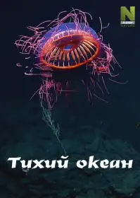 Тихий Океан постер