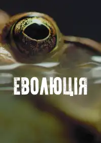Еволюція постер