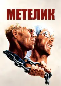 Метелик постер