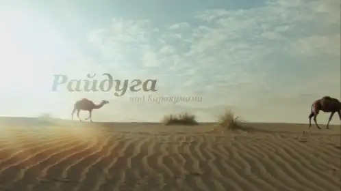 Райдуга над Каракумами постер