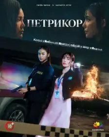 Петрикор постер