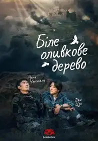 Біле оливкове дерево постер