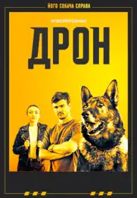 Дрон постер