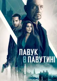Павук у павутині постер