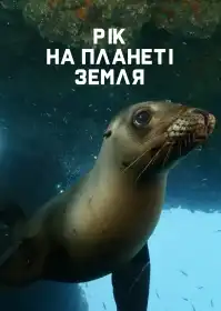Рік на планеті Земля постер
