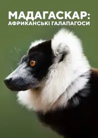 Мадагаскар, африканський Галапагос постер