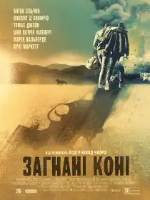 Загнані коні постер