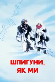 Шпигуни як ми постер