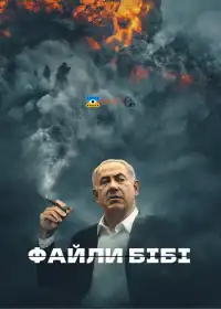 Файли Бібі постер