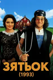 Зятьок постер