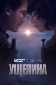 Ущелина постер