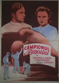 The Winner постер