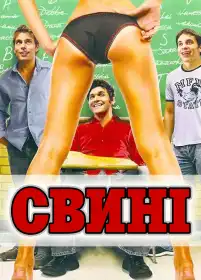Свині постер