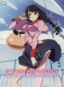 Історія кішки: чорна постер