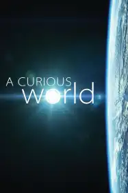 A Curious World постер