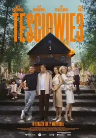The In-Laws 3 постер