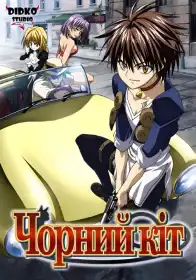Чорний кіт постер