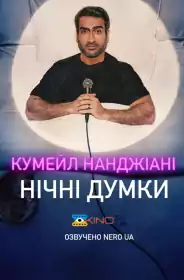Кумейл Нанджіані: Нічні думки постер
