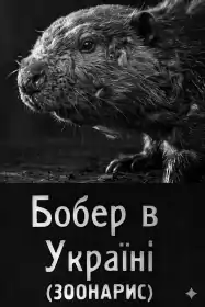 Бобер в Україні постер