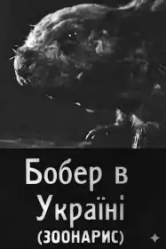 Бобер в Україні постер